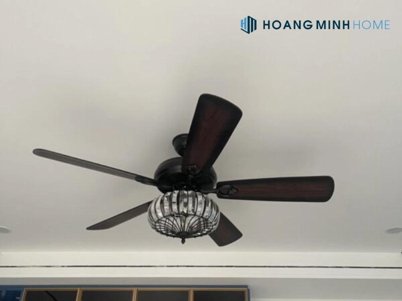 quat-tran-den-pha-le-6