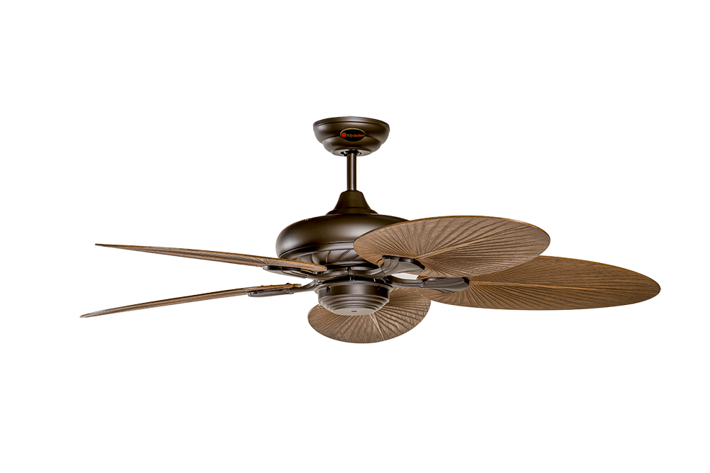 Quạt trần 5 cánh hình cánh cọ KAIYO KOCHI 168