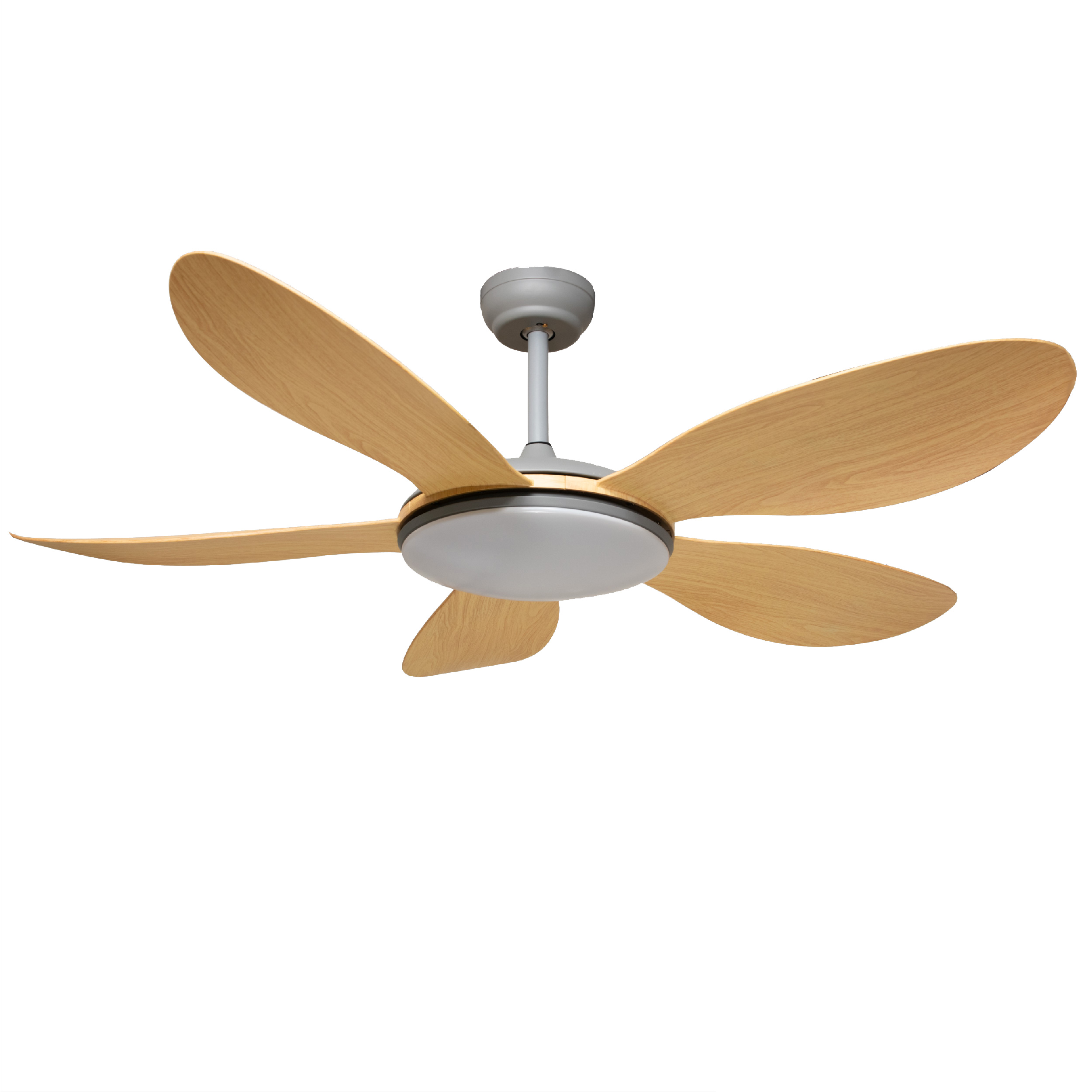 Quạt trần cánh xòe hiện đại VIFA 55