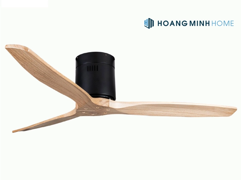 quat-tran-lien-than-1