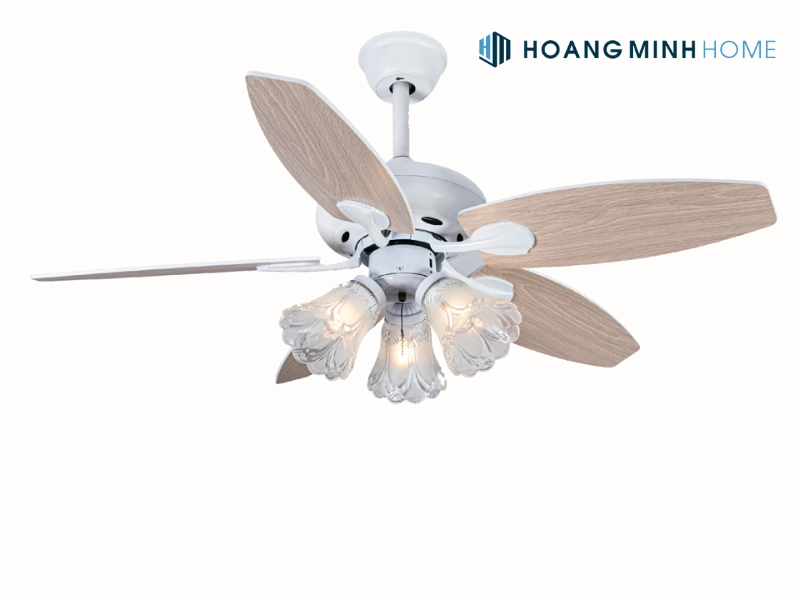 quat-tran-den-chum-4