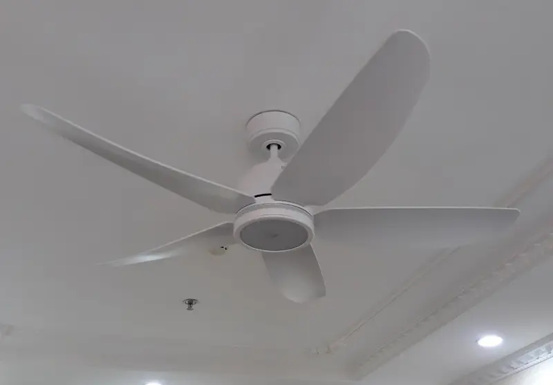 quạt trần trần thấp