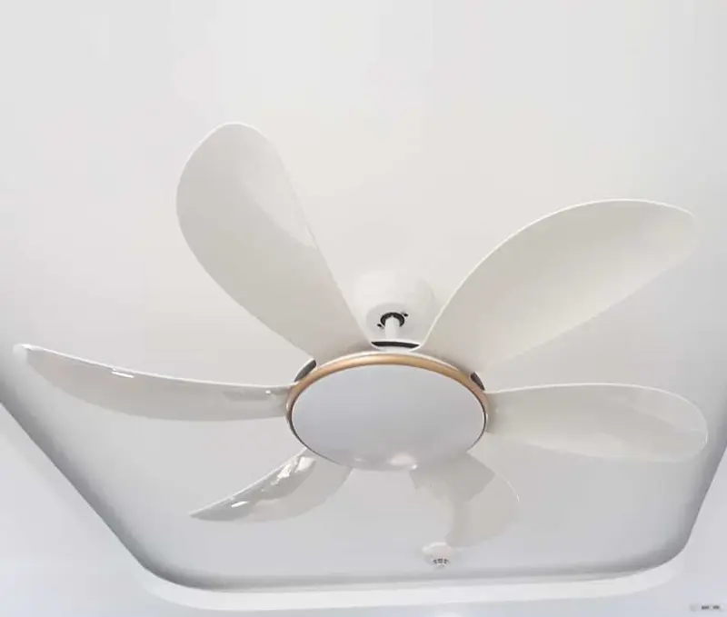 quạt 6 cánh