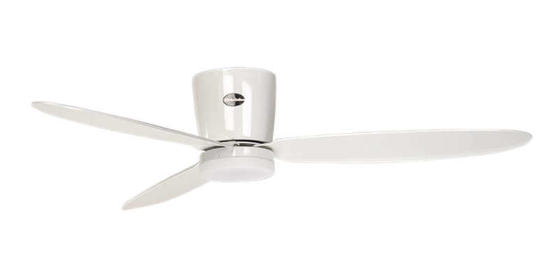 Quạt trần động cơ dc