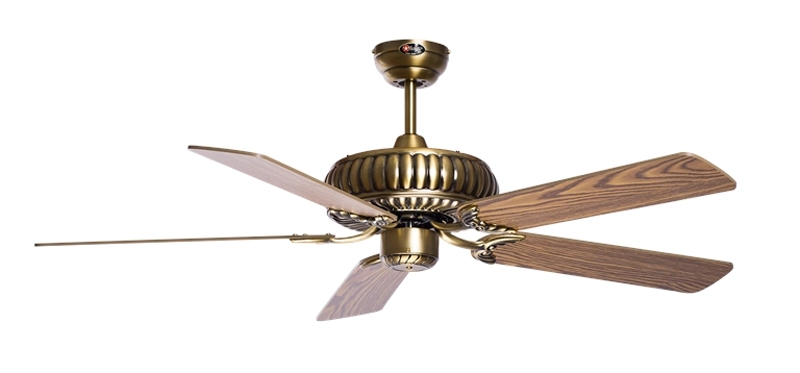 Quạt trần động cơ dc