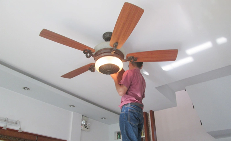 quạt trần đèn chùm